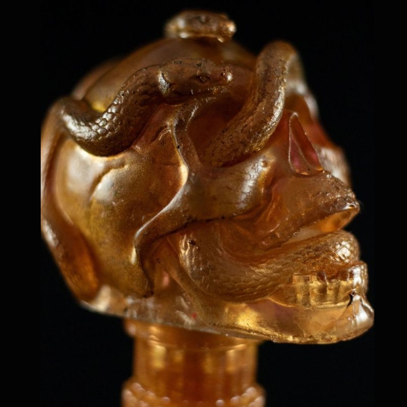 Snakes Skull  - A Caveira Envolta em Serpentes da SpunkLab