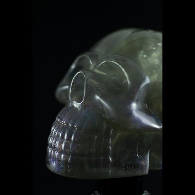 Shadow Skull - A Caveira das Sombras da SpunkLab