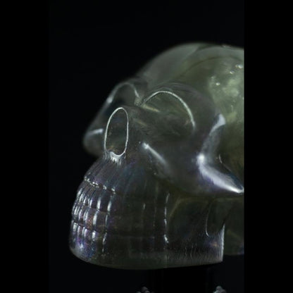 Shadow Skull - A Caveira das Sombras da SpunkLab