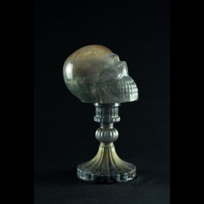 Shadow Skull - A Caveira das Sombras da SpunkLab