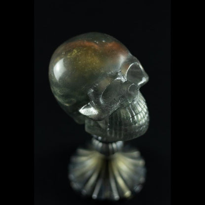 Shadow Skull - A Caveira das Sombras da SpunkLab