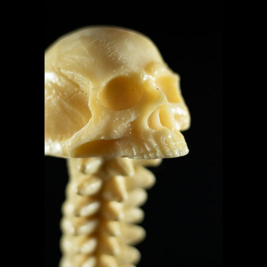 Velho Joe Skul – Exclusividade SpunkLab