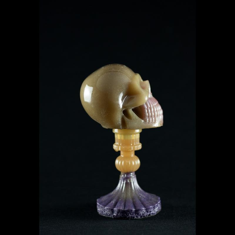 Shadow Skull - A Caveira das Sombras da SpunkLab