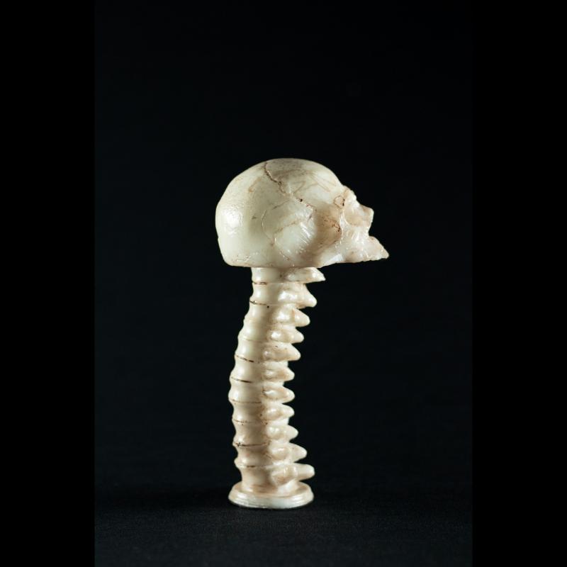 Velho Joe Skul – Exclusividade SpunkLab