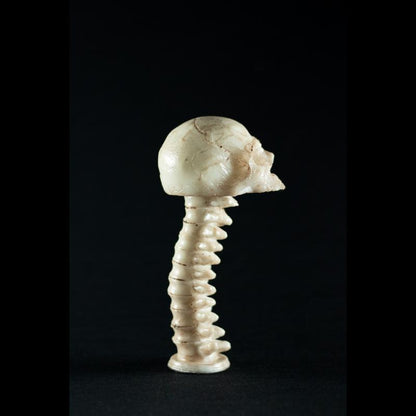 Velho Joe Skul – Exclusividade SpunkLab