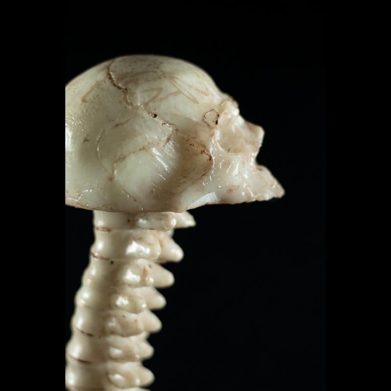 Velho Joe Skul – Exclusividade SpunkLab