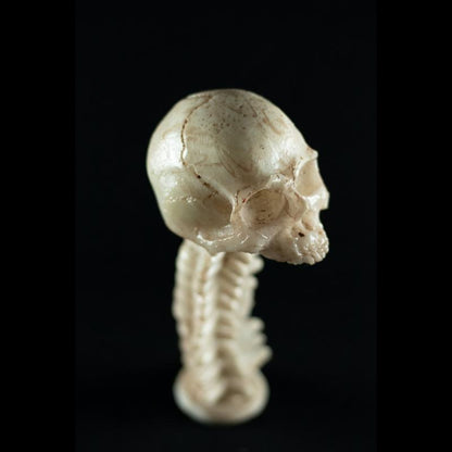 Velho Joe Skul – Exclusividade SpunkLab