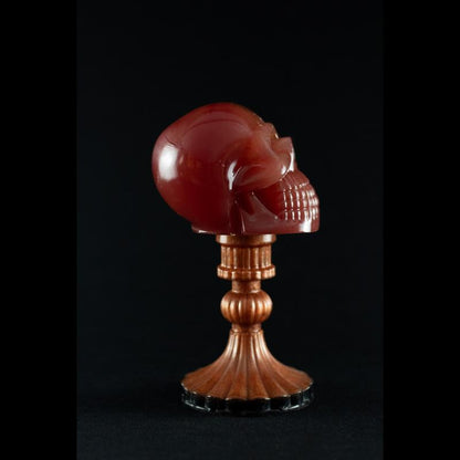 Shadow Skull - A Caveira das Sombras da SpunkLab