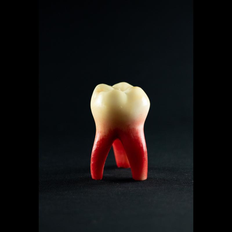 No Smile – A Estética do Estranho