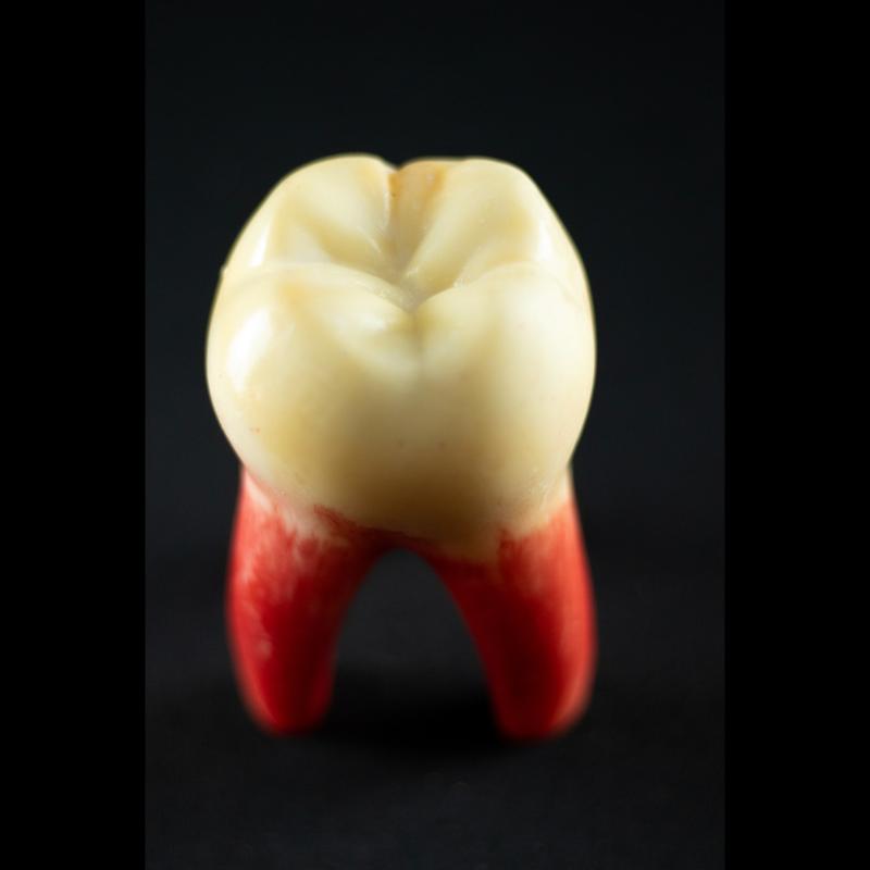 No Smile – A Estética do Estranho