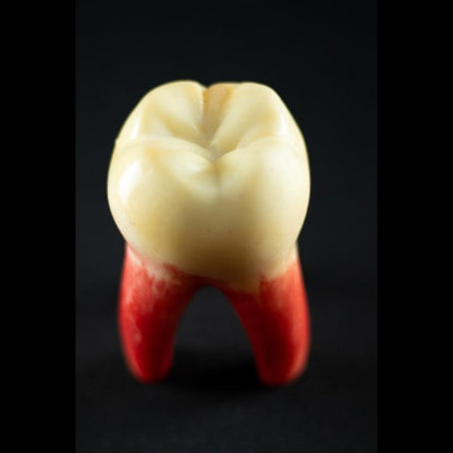 No Smile – A Estética do Estranho