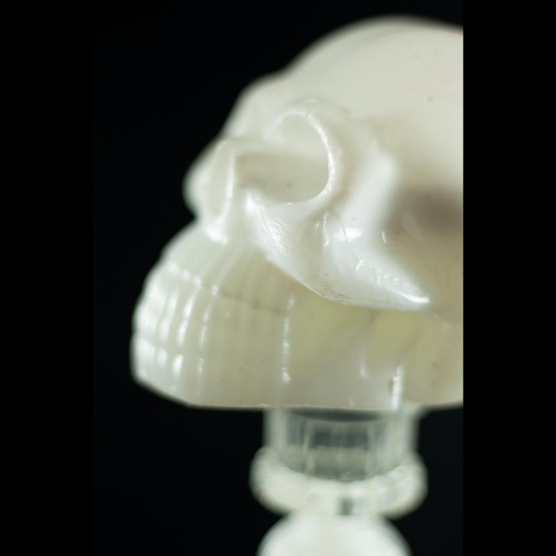 Shadow Skull - A Caveira das Sombras da SpunkLab